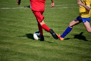 星空·综合体育-世界男子排球联赛意大利主场折桂，意大利男子排球联赛直播