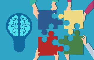 星空体育中国-中小学课程内容创新，中小学创新教育