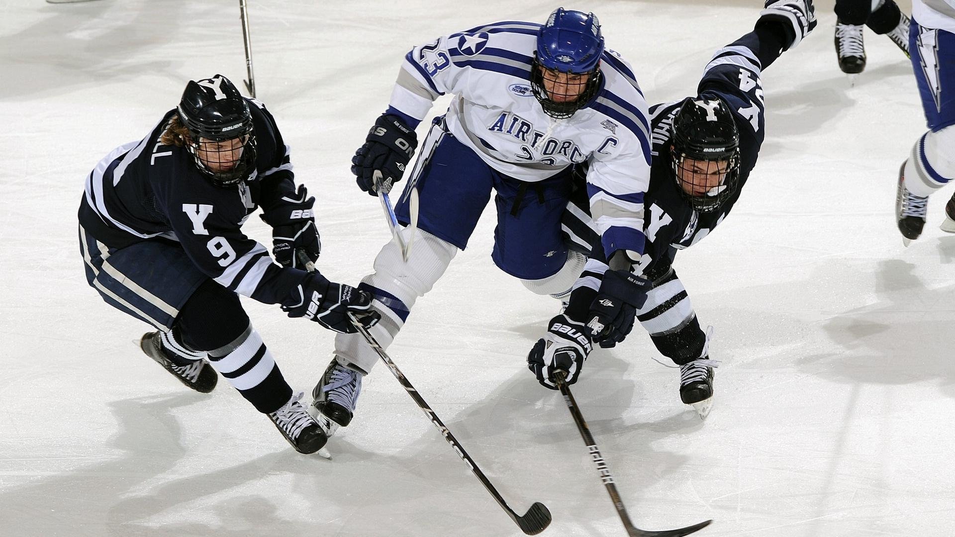 星空·综合体育-体育志愿服务基地建设工作加速推进，教育体育志愿服务队